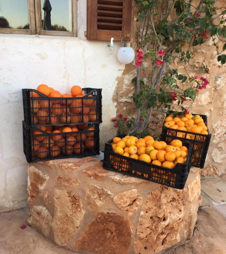 Agroturismo Fincahotel Son Pou Felanitx Bauernhof
