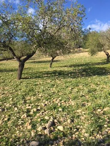 Bauernhof Agroturismo Fincahotel Son Pou Felanitx